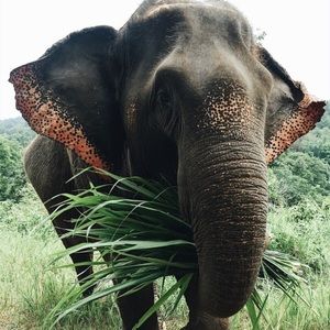 Meet your Posher, Jackie